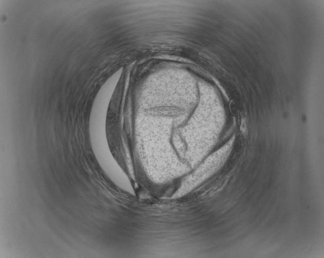 X0000067510771200605051828