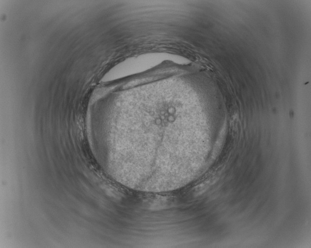 X0000067510772200605051828