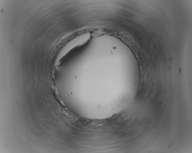 X0000067510773200605051828