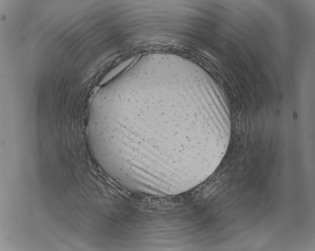 X0000067510774200605051828