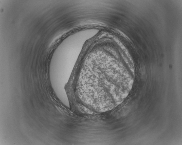 X0000067510775200605051828