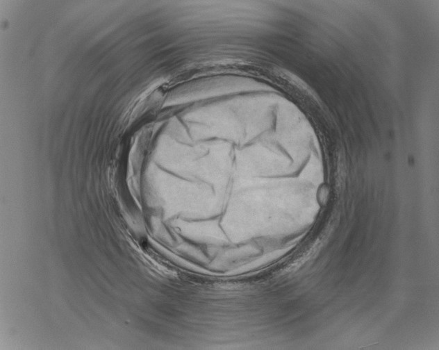 X0000067510777200605051828