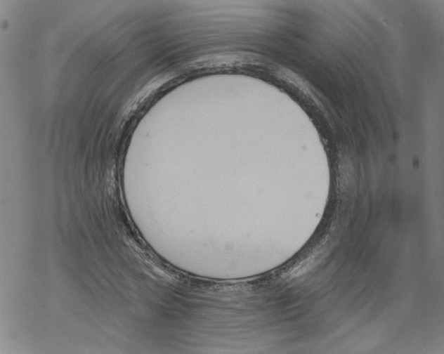 X0000067510778200605051828