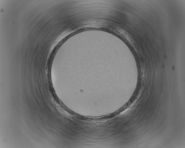 X0000067510779200605051828