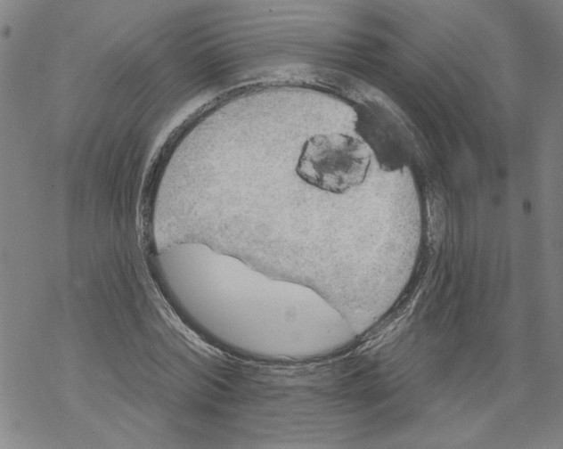 X0000067510780200605051828