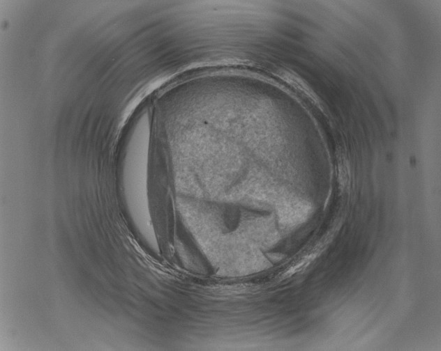 X0000067510781200605051828