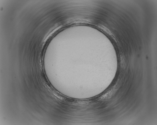 X0000067510782200605051828