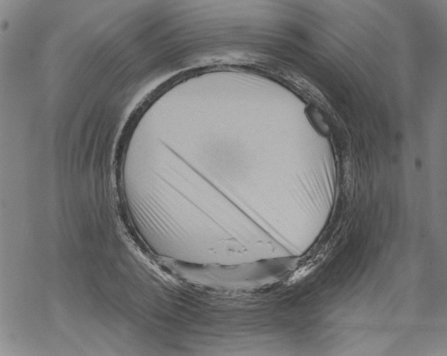 X0000067510784200605051828