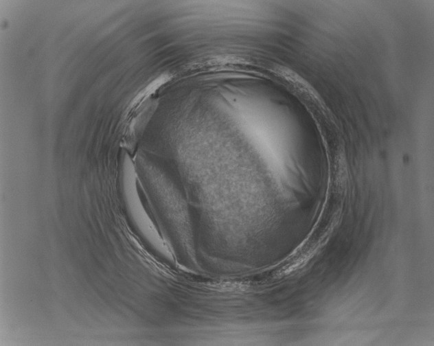 X0000067510785200605051828