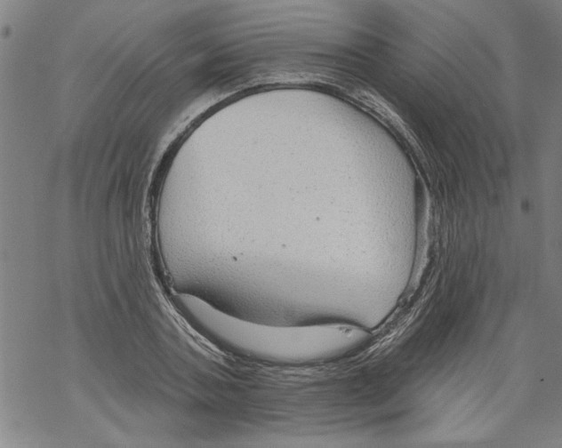 X0000067510787200605051828