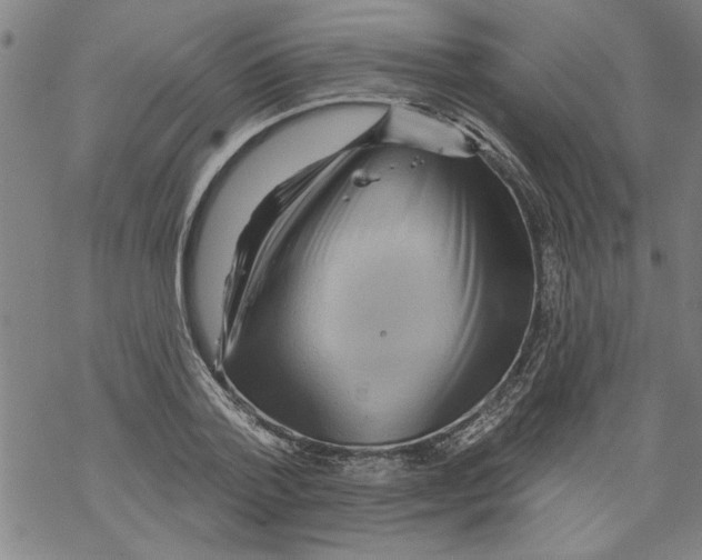 X0000067510788200605051828