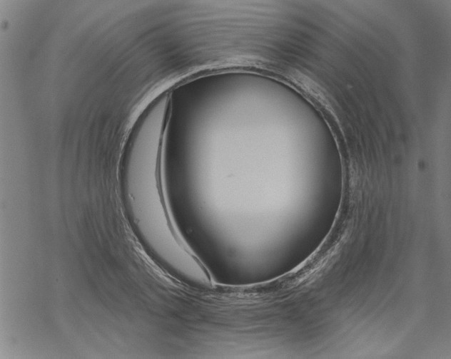 X0000067510789200605051828