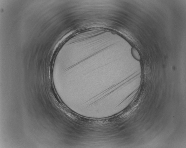 X0000067510790200605051828