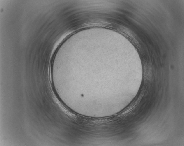 X0000067510796200605051828