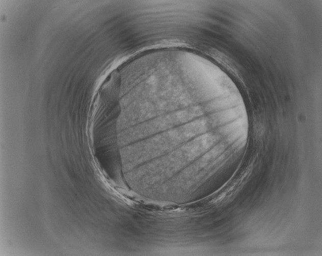 X0000067510797200605051828