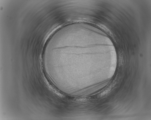 X0000067510798200605051828