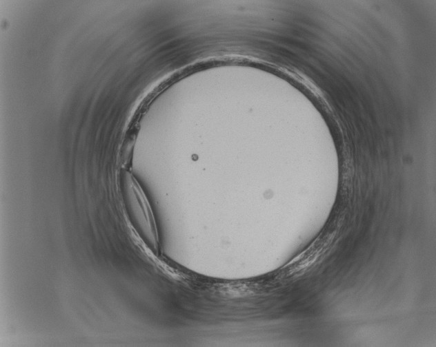 X0000067510799200605051828