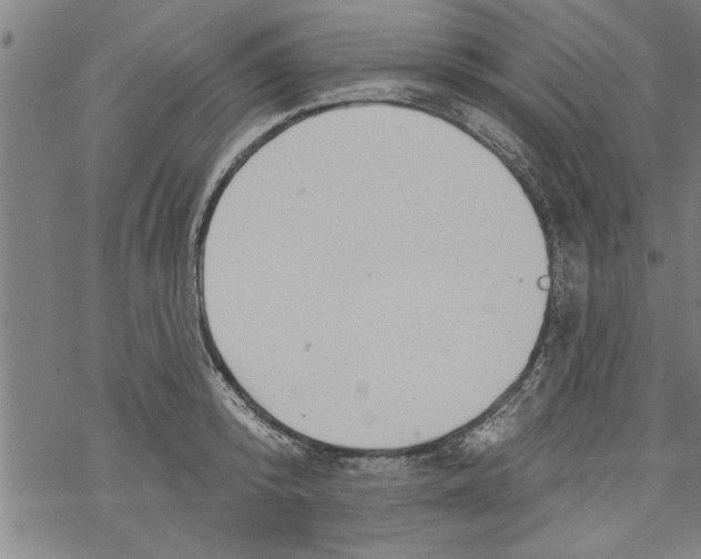 X0000067510800200605051828