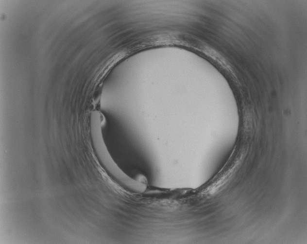 X0000067510801200605051828