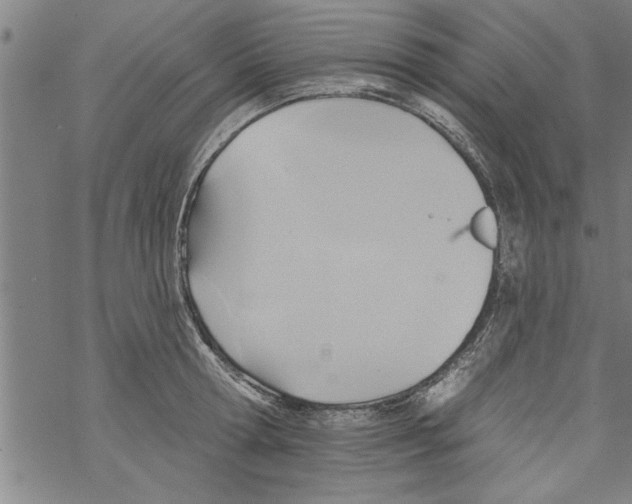 X0000067510802200605051828