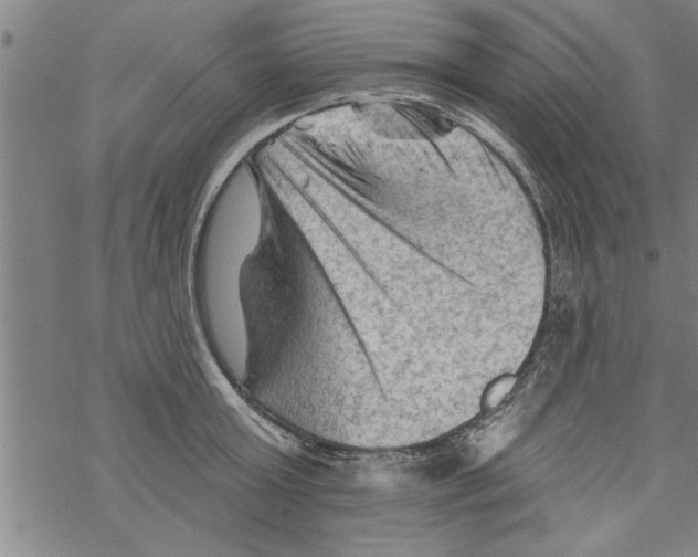 X0000067510803200605051828