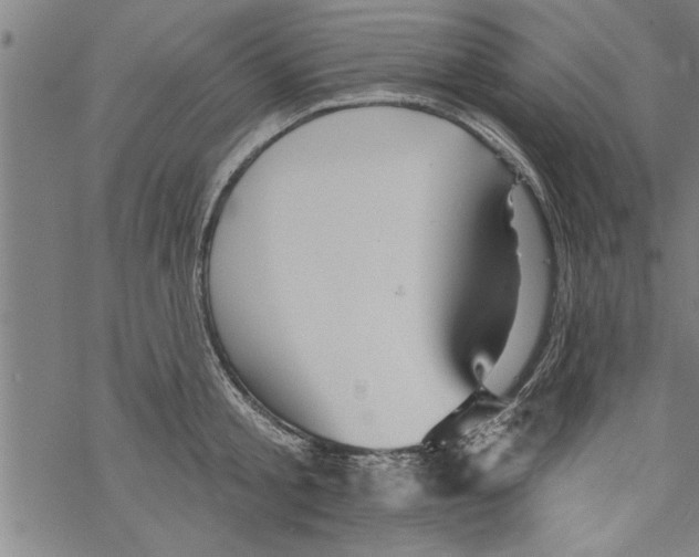 X0000067510805200605051828