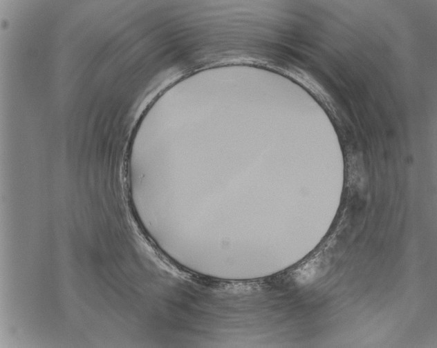 X0000067510806200605051828