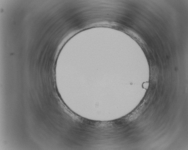 X0000067510808200605051827