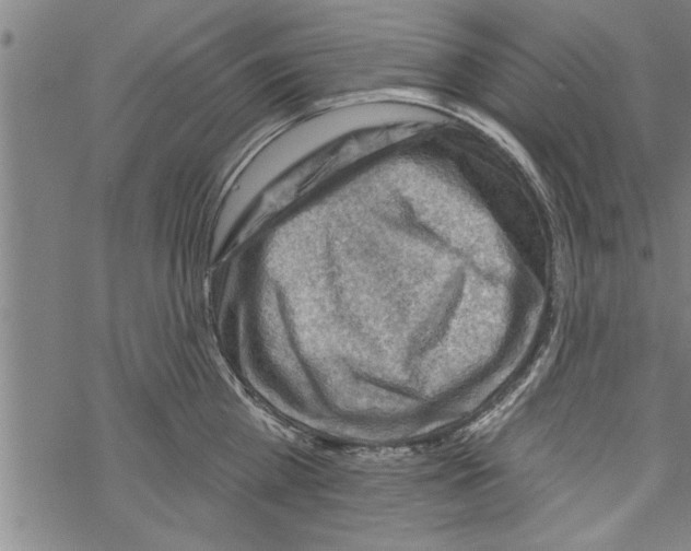 X0000067510809200605051827