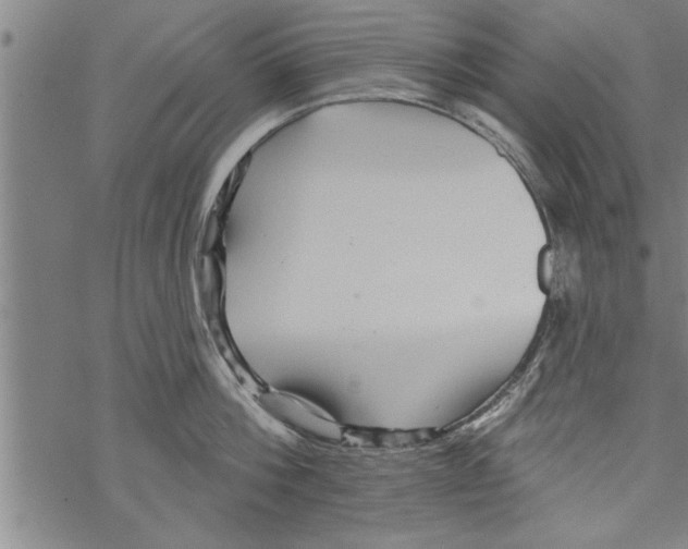 X0000067510812200605051827