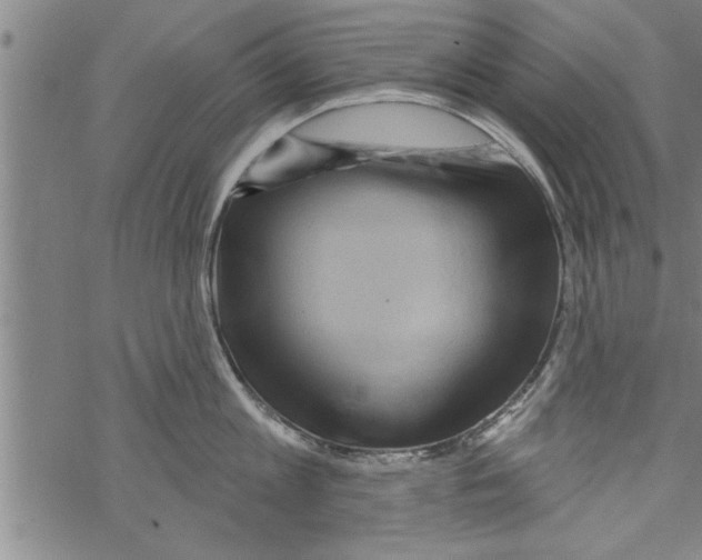 X0000067510813200605051827