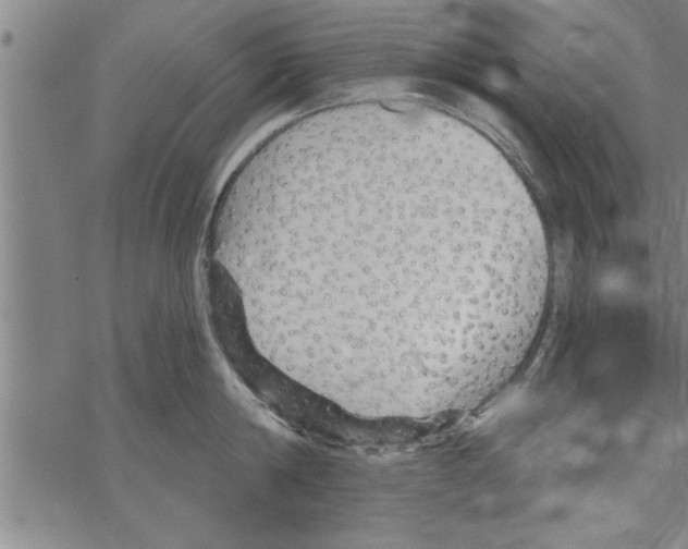 X0000067510814200605051827