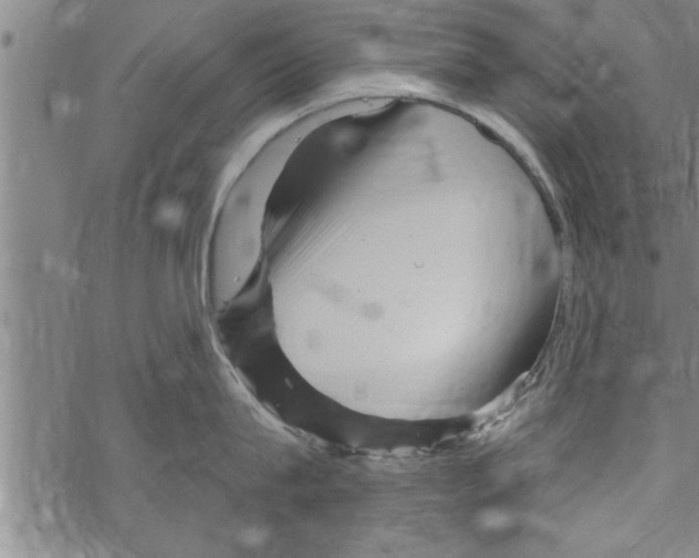 X0000067510815200605051827