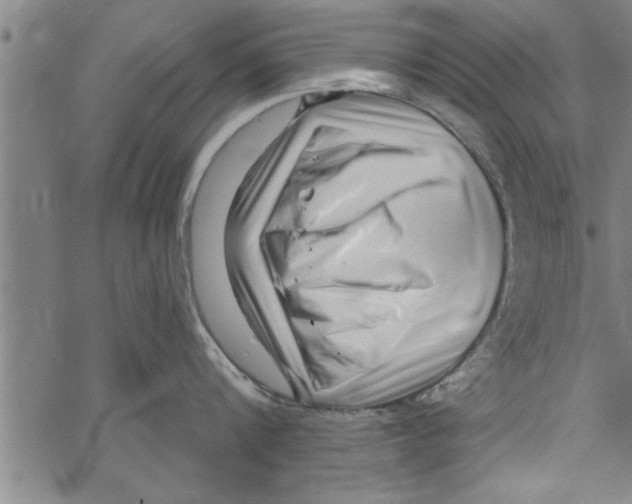 X0000067510816200605051827