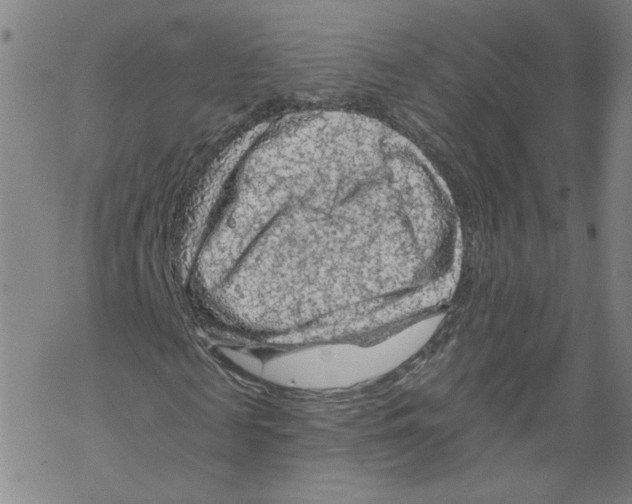 X0000067510817200605051827