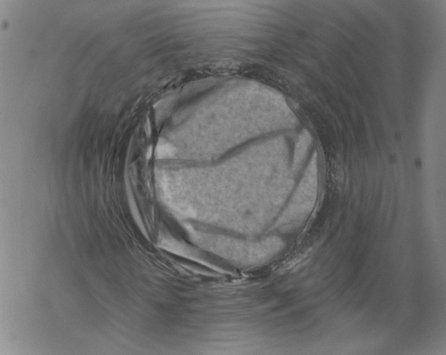 X0000067510818200605051827