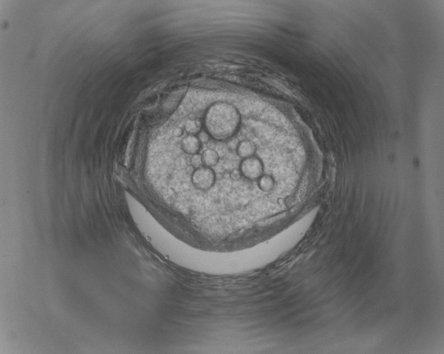 X0000067510819200605051827