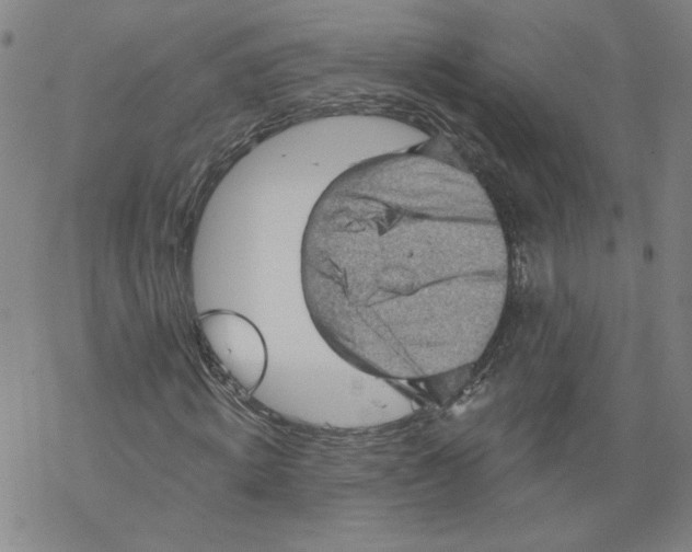 X0000067510820200605051827