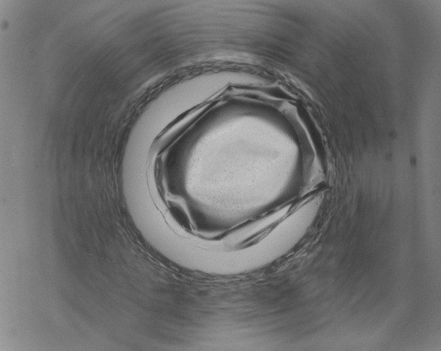 X0000067510821200605051827