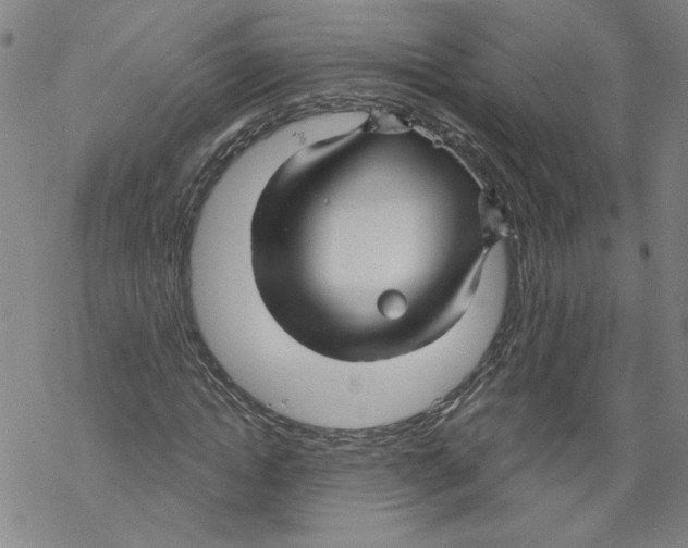 X0000067510822200605051827