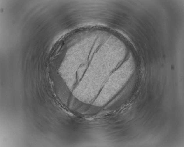 X0000067510823200605051827