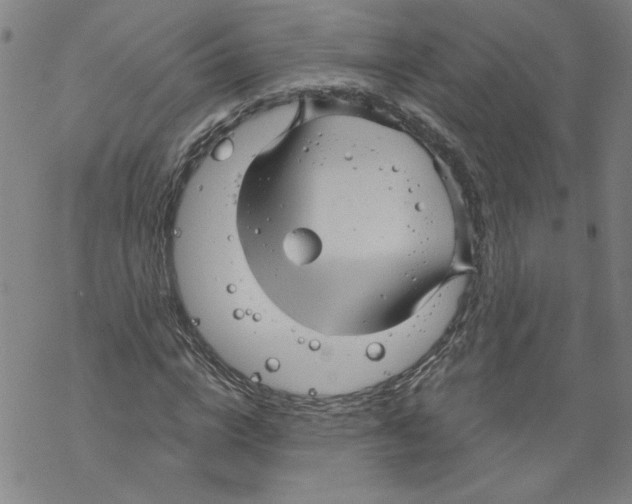 X0000067510824200605051827