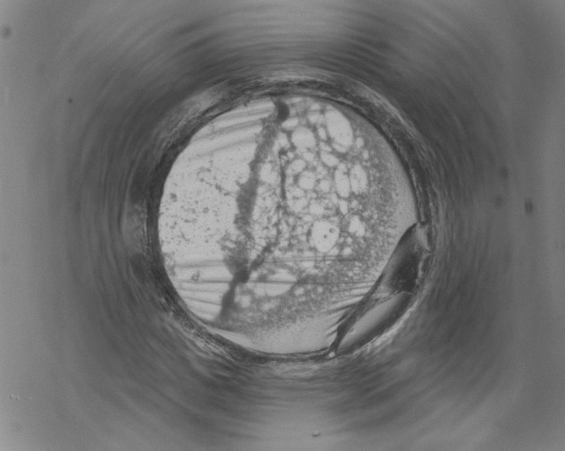 X0000067510825200605051827