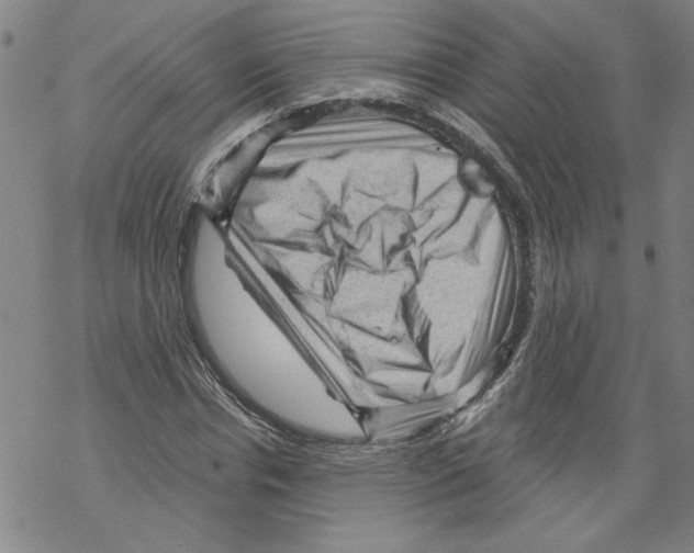 X0000067510826200605051827