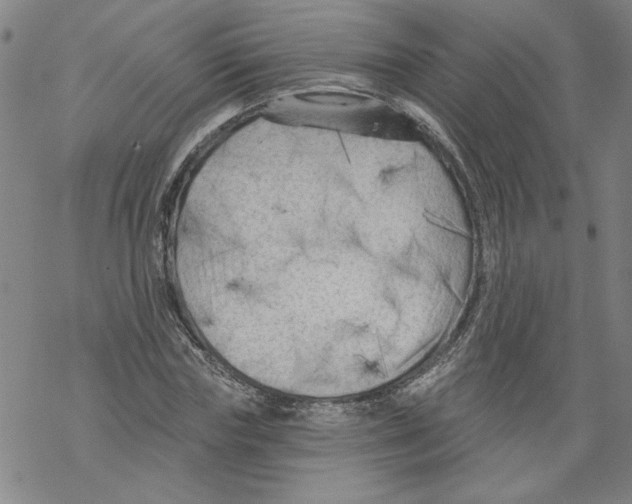 X0000067510827200605051827