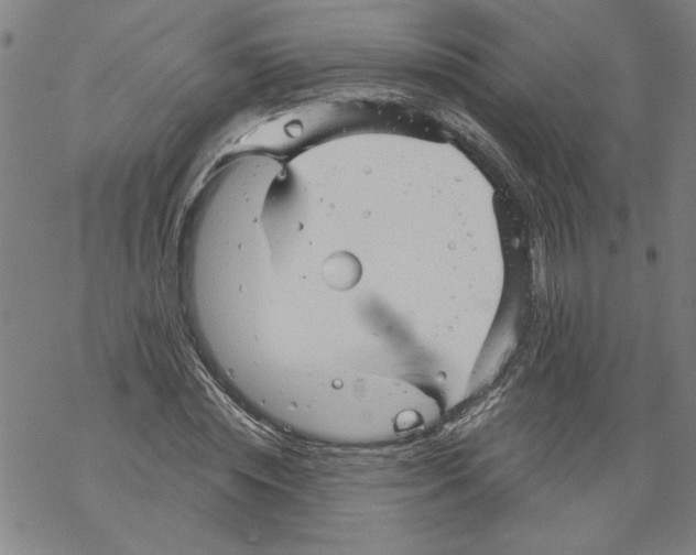 X0000067510828200605051827