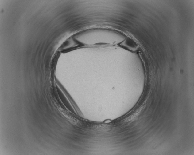 X0000067510830200605051827