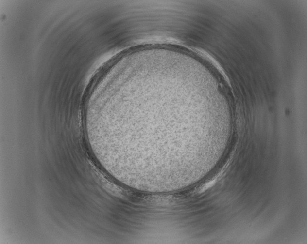 X0000067510831200605051827