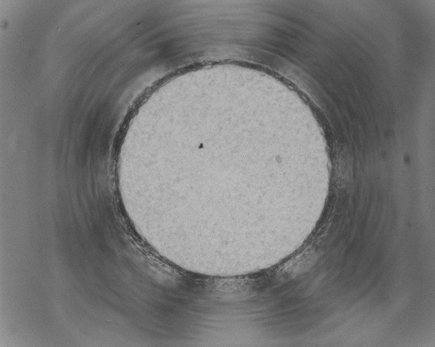 X0000067510832200605051827