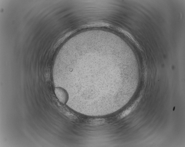 X0000067510833200605051827